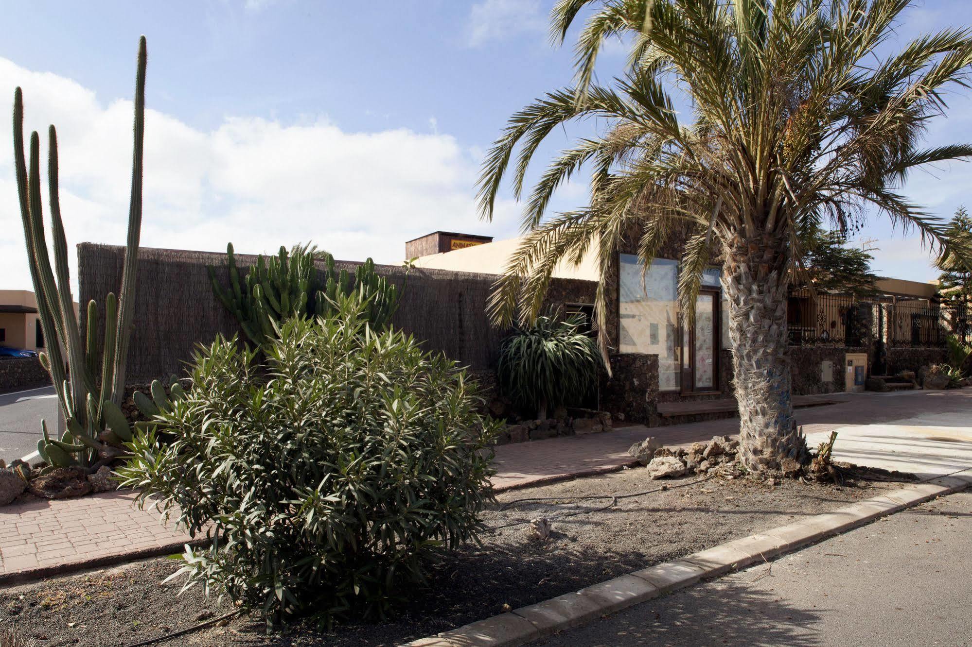 Apartamentos Laurisilva Corralejo Zewnętrze zdjęcie