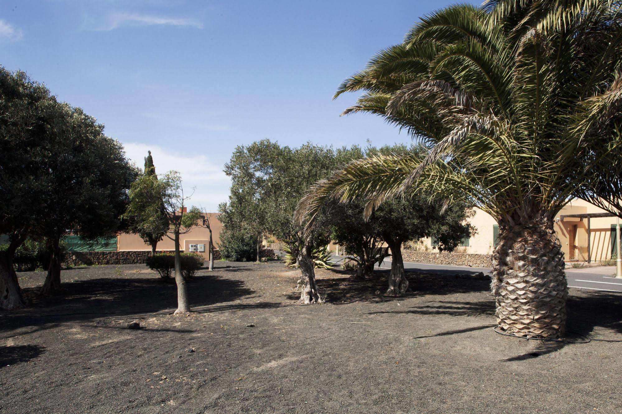 Apartamentos Laurisilva Corralejo Zewnętrze zdjęcie