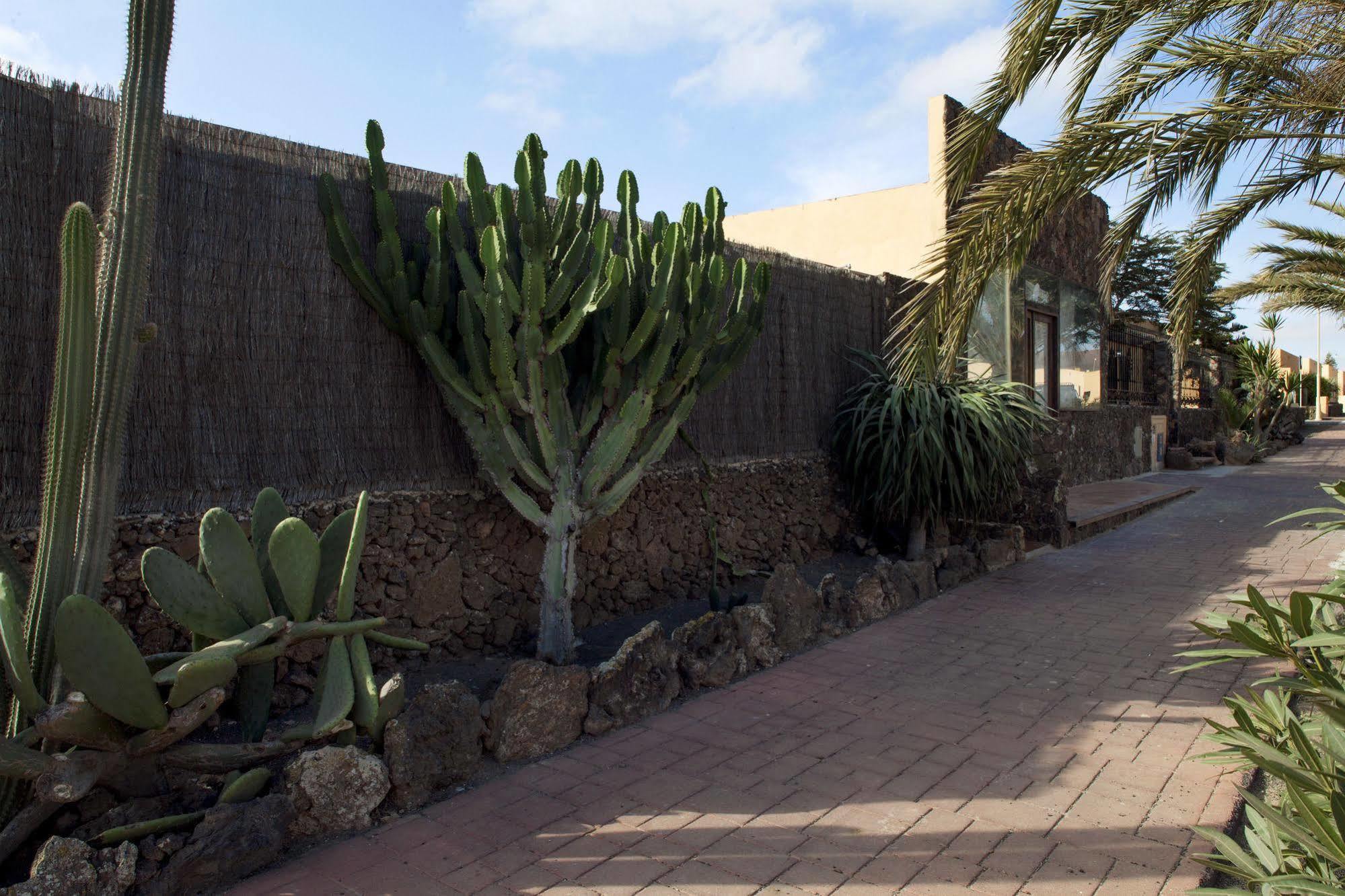 Apartamentos Laurisilva Corralejo Zewnętrze zdjęcie